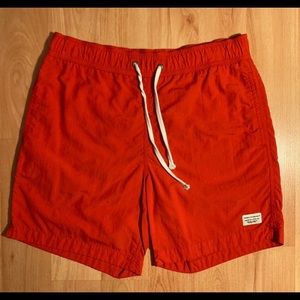 Pacsun Modern Amusement Swim shorts